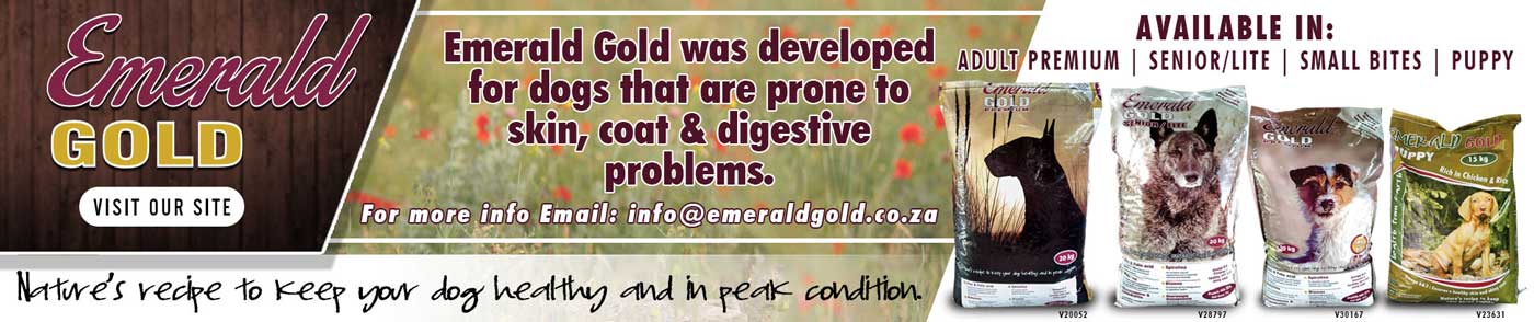 Emerald Gold-banner-ad